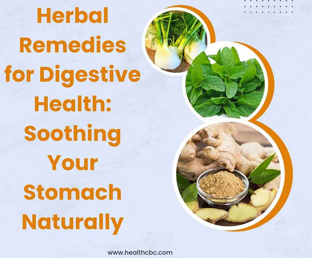 Herbal Remedies for Digestive Health: Soothing Your Stomach Naturally