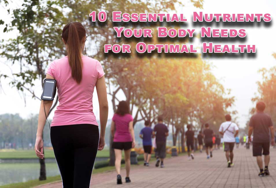 10 Essential Nutrients Your Body Needs for Optimal Health