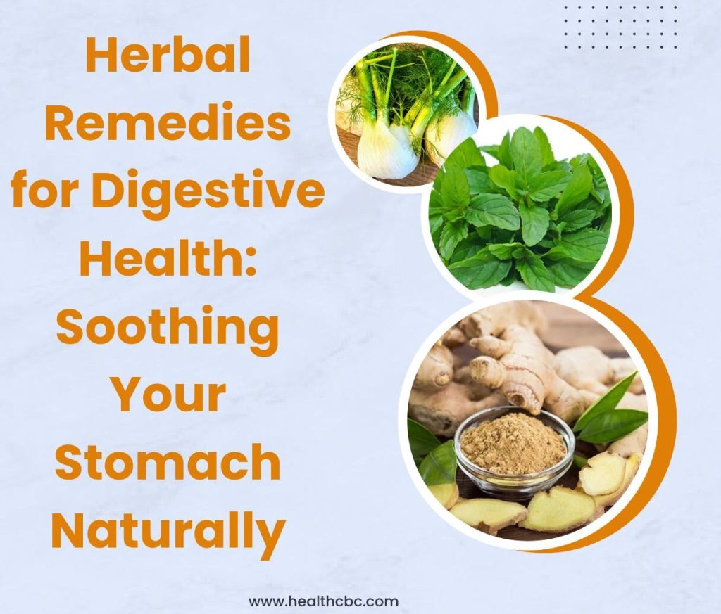 Herbal Remedies for Digestive Health: Soothing Your Stomach Naturally