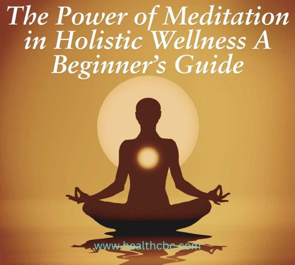 The Power of Meditation in Holistic Wellness A Beginner’s Guide