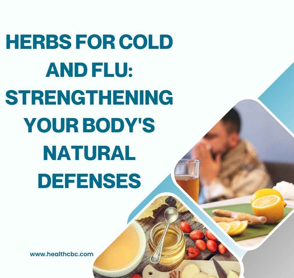 Herbs for Cold and Flu: Strengthening Your Body’s Natural Defenses